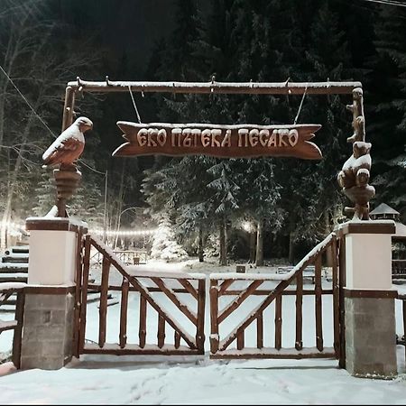 Enjoy Studios And Lovely Apartment Villa Park Borovets Extérieur photo